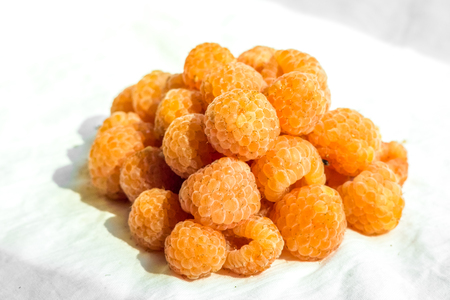 yellow fruit mountain made with fresh raspberries ripes. organic placer of summer yellow raspberries. best kids summers dessert. composition from raspberry on the white isolated backgroundの写真素材