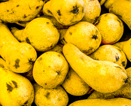 natural yellow pears with black spots. fresh organic pears. sweet yellow pears lay in diagonal lines in box at the shop and wait for buyers. Tasty yellow pears in the box. natural fruit backgroundの写真素材