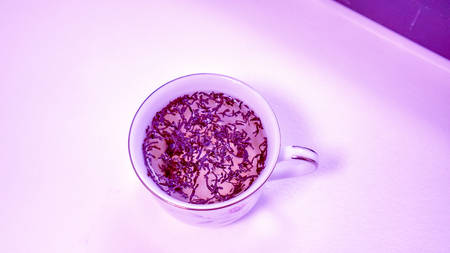 violet light on freshly brewed tea with tea leaves floating on top in a white cup with a gold rim and a handle against light table, reparation of tea to the tea ceremony for successful businessの写真素材