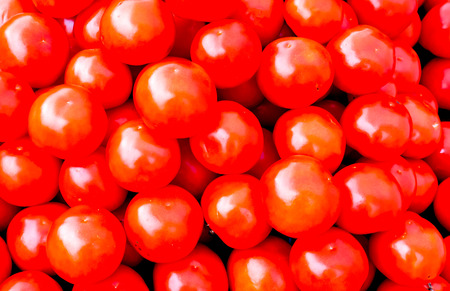 a lot of fresh tomatoes. strong tomatoes rows. summer background with many red tomato ripes, red juicy tomato balls lay in the box. A lot of fresh red tomato together.の写真素材
