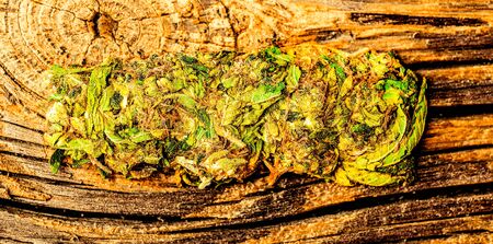 colorful light on dry cut green cannabis hemp leaves ready to use for rest and pleasure. Macro...