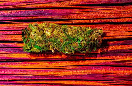 colorful light on dry cut green cannabis hemp leaves ready to use for rest and pleasure. Macro detail of single cannabis bud (mangolope marijuana strain) over wooden dark backgroundの写真素材