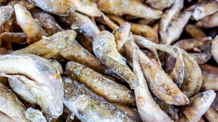 many frozen fish without head lay on shopping frozen cart, fish body without head in some ice as...