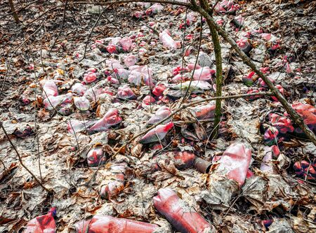 many plastic garbage at autumn forestの写真素材