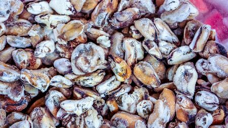 Mussels without shell at a market cartの写真素材