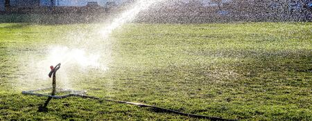 garden sprinkler on a sunny summer day during watering the green lawnの写真素材