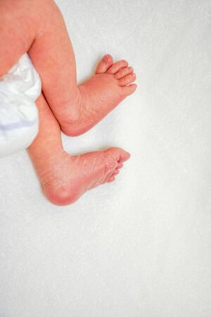newborn white skin kid legs on white backgroundの写真素材