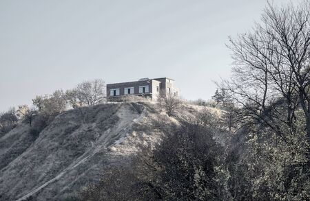 trees near heel with modern rich houseの写真素材