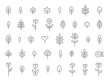 Leaf and Flower Line Icon Set, Flat, Lines, Vectorのイラスト素材