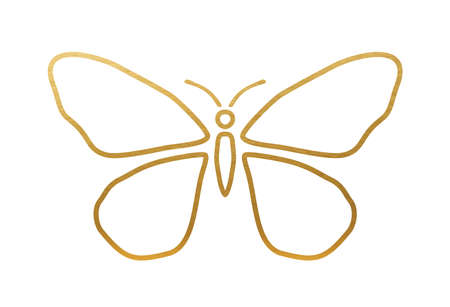 Butterfly - Golden lines shape on white backgroundのイラスト素材