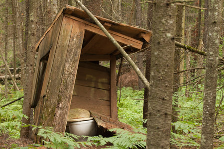 Old abandoned wooden outhouse in the woods. Ancient privy in the forest surrounded by ferns. Broken outbuilding covered in pine needles.の写真素材