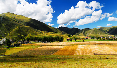 Xinduqiao autumn fieldの写真素材