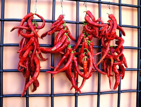 Organic Red Hot Peppersの写真素材