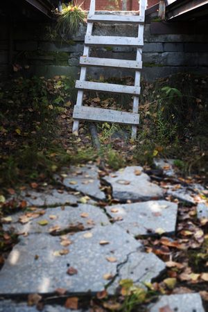 Old laddersの写真素材