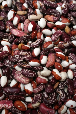 Many strew motley haricot beans