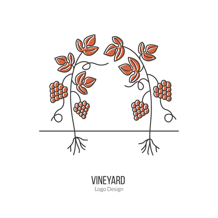 Growing grapes.のイラスト素材