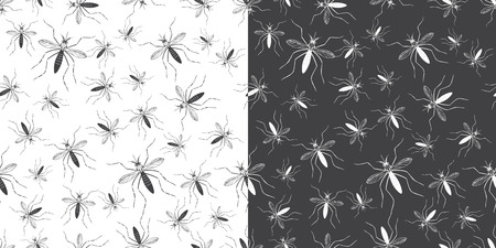 Set of seamless patterns with aegypti aedes mosquitos. Texture of insects. Healthcare concept. Warning about dangerous Zika virus. Black design elements isolated on white and black background.のイラスト素材