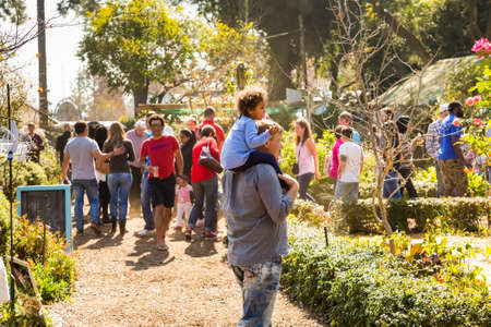 Johannesburg, South Africa - May 24, 2015: Crowds of diverse people walking through plant nursery garden at outdoor farmer's marketのeditorial素材
