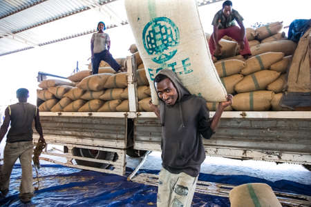 Addis Ababa, Ethiopia - January 30 2014: Men stacking large bags of coffee beans in a warehouseのeditorial素材
