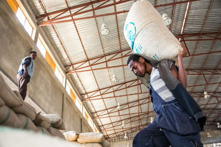 Addis Ababa, Ethiopia - January 30 2014: Men stacking large bags of coffee beans in a warehouseのeditorial素材