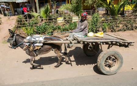 Addis Ababa, Ethiopia, January 30, 2014, African woman riding a donkey cart on the outskirts of Addis Ababa, Developing country transport methodのeditorial素材