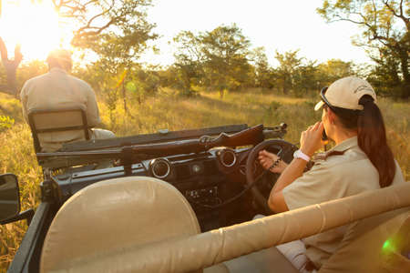 Early morning game drive in safari 4x4のeditorial素材