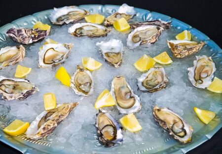 Fresh Seafood Oysters and Lemon on ice for catering at Corporate gala dinner banquet eventの写真素材