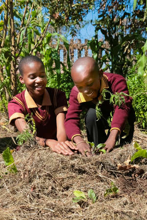 Johannesburg, South Africa - School children learning about agriculture and farmingのeditorial素材