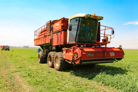 Johannesburg, South Africa - October 27 2010: Commercial Pea Farming with a Combine Harvester