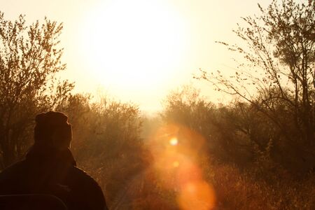 Silhouetted man tracking footprints from the front of a safari vehicle in a South African game reserveの写真素材