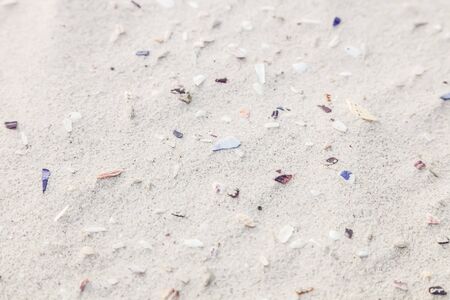 Coastal white beach sand with broken pieces of shell texture pattern for design backgroundの写真素材