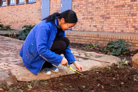 Soweto, South Africa - July 21, 2012: Diverse People performing Community Service gardening at local township schoolのeditorial素材