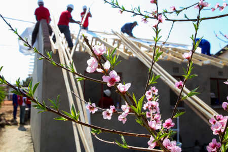 Soweto, South Africa, September 10, 2011,  Diverse Community members building a low cost house as a team in Sowetoのeditorial素材