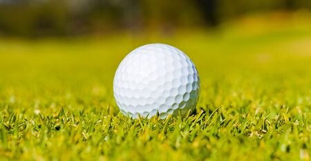Close up of a Golf Ball on a Fairway green at a golf courseの写真素材