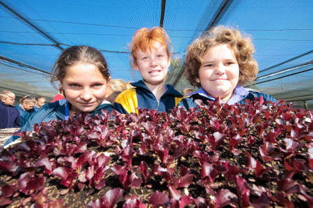 Johannesburg, South Africa - May 07 2009: School children learning about agriculture and farmingのeditorial素材