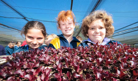 Johannesburg, South Africa - May 07 2009: School children learning about agriculture and farmingのeditorial素材