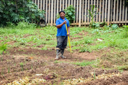 Johannesburg, South Africa - January 17, 2011: African Man working away in a small urban vegetable gardenのeditorial素材