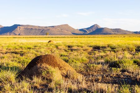 Rural Grassland Farming Area of the Karoo Semi-desert in South Africaの写真素材
