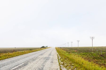 View of an empty country highway road in South African Farmland region