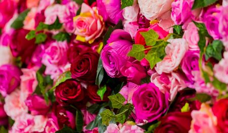 Pink and Purple Roses for Romantic Valentines Day flower displayの写真素材