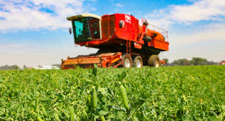 Johannesburg, South Africa - October 27 2010: Commercial Pea Farming with a Combine Harvesterのeditorial素材