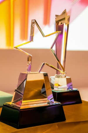 Star Shaped glass trophy for winner at corporate gala dinner awards banquet event