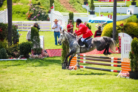 Johannesburg, South Africa - October 08 2011: Equestrian Show Jumping and Horse Riding display