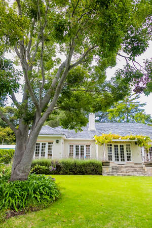 Exterior view of Upmarket wealthy suburban mansion house with landscaped garden and large treeのeditorial素材