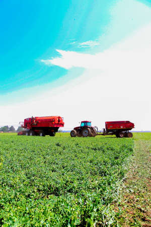 Johannesburg, South Africa - October 27 2010: Commercial Pea Farming with a Combine Harvesterのeditorial素材