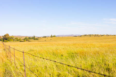Rural Grassland Farming Area of the Karoo Semi-desert in South Africa