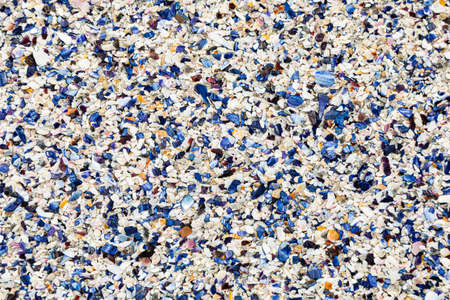 Broken Mussel shells washed up on a beach on the Western seaboard of Cape Town