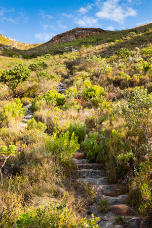 Dirt Track hiking paths on top of a mountain by the coast of Cape Townの写真素材