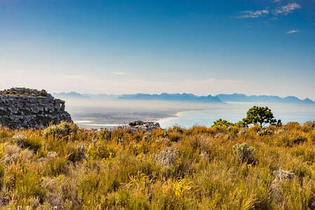 Coastal mountain landscape with fynbos flora in Cape Town South Africaの写真素材