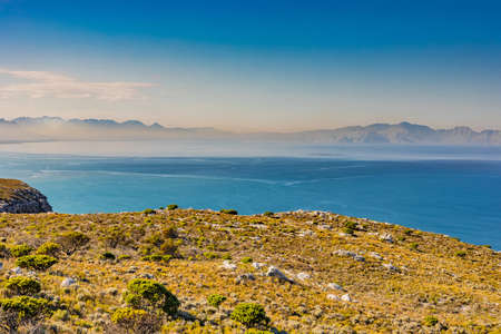 Coastal mountain landscape with fynbos flora in Cape Town South Africaの写真素材